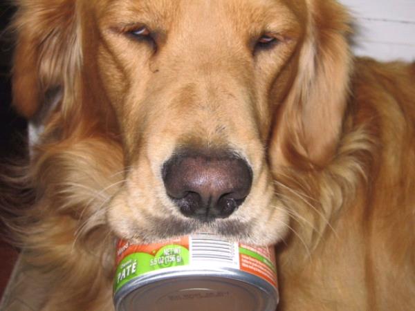 /Images/uploads/Humane Society of Utah/HSUCalendar/entries/989thumb.jpg